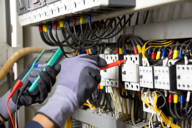 Best Electrical Panel Upgrades  in Ivanhoe, TX